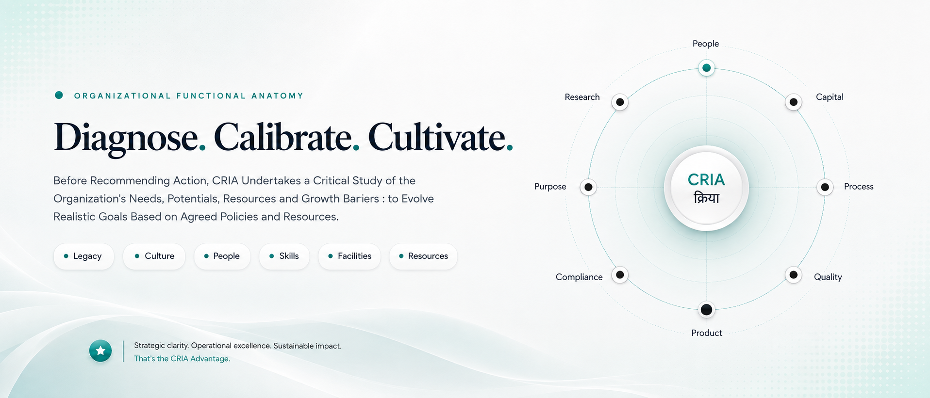 CRIA organizational functional anatomy model: diagnose, calibrate and cultivate.
